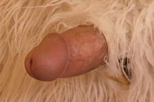 www.8xxx